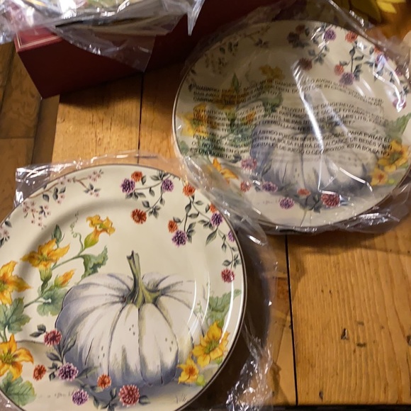 Pottery Barn Botanical Harvest Pumpkin Stoneware Set of Four Salad plates - Picture 8 of 16